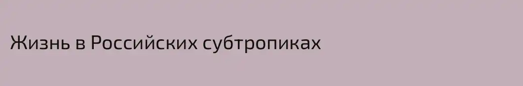 Жизнь в Российских субтропиках